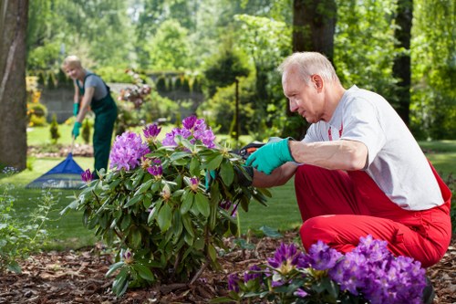 Sorting station with labeled recycling bins in the gardening area