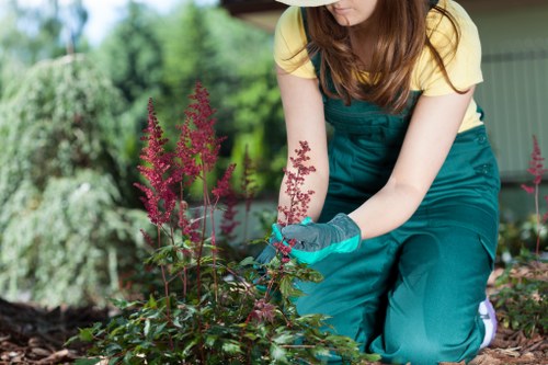 Inspector assessing garden maintenance work
