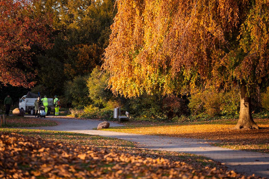 A peaceful park scene during autumn with a large deciduous tree featuring vibrant orange and yellow foliage, its wide canopy extending over a paved pathway. The ground around the path is covered with 